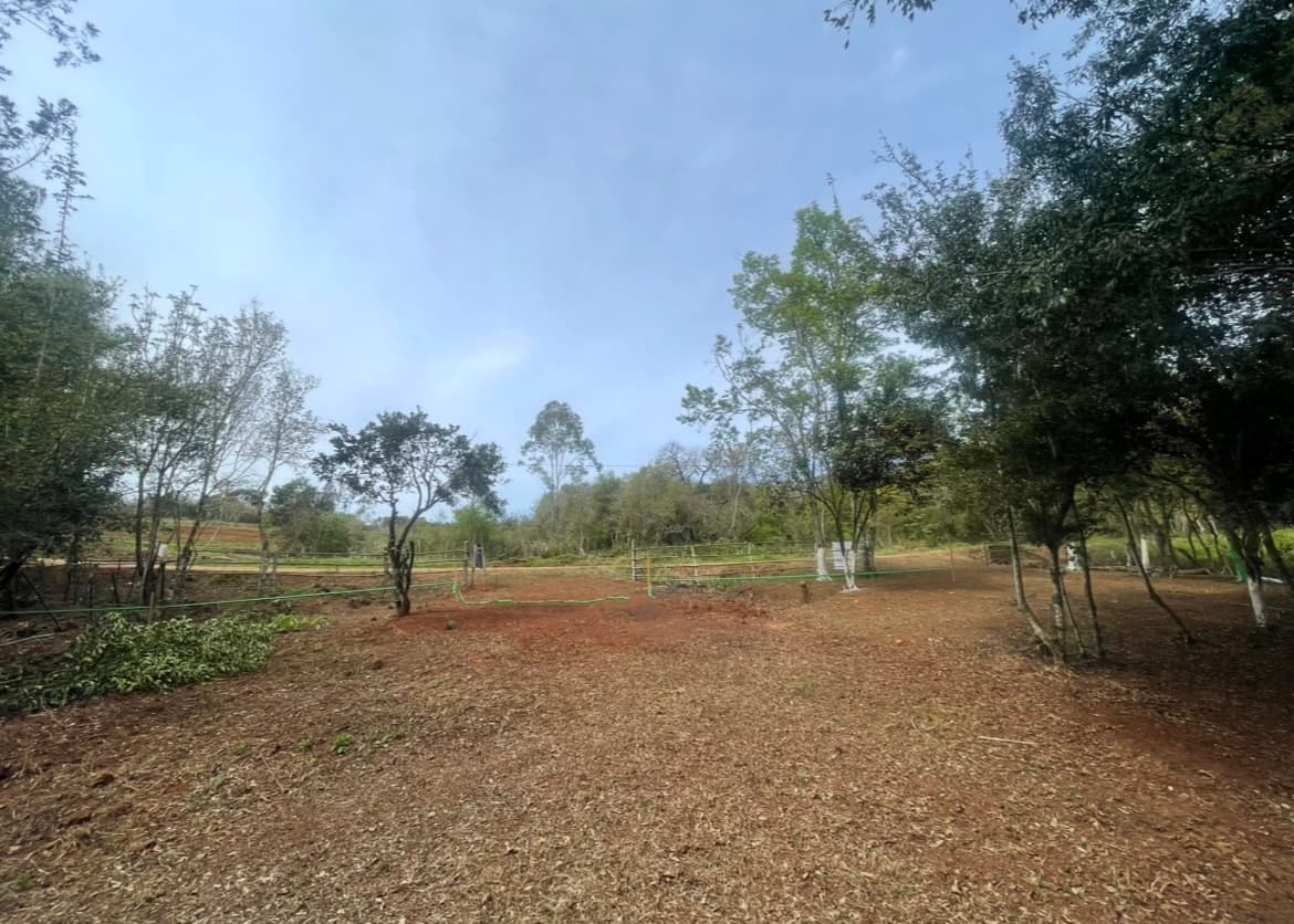 El Topo - Estacionamiento y Camping Trinidad Rally del Paraguay 2026, foto 2