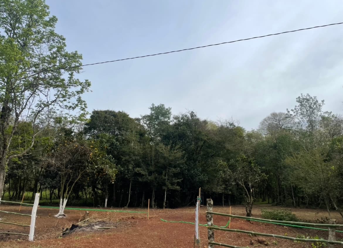 El Topo - Estacionamiento y Camping Trinidad Rally del Paraguay 2026, foto 3