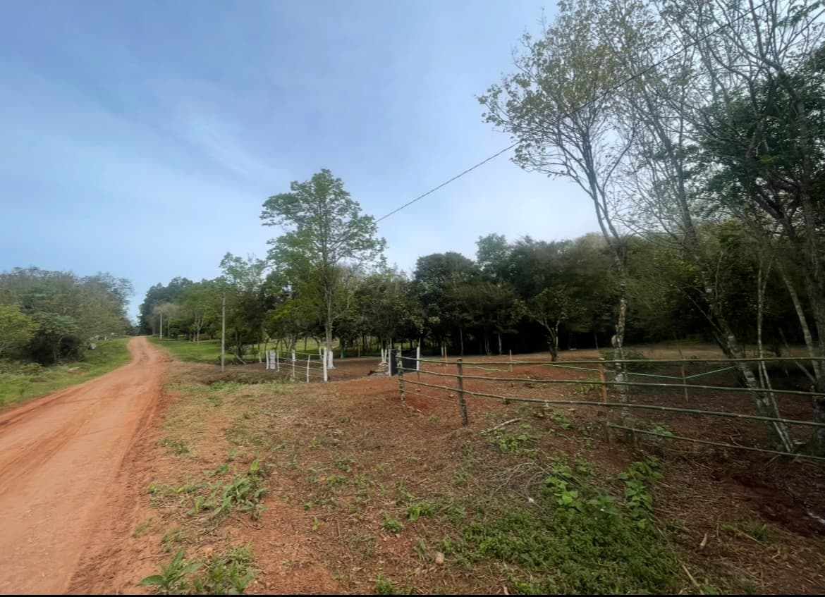 El Topo - Estacionamiento y Camping Trinidad Rally del Paraguay 2026, foto 4