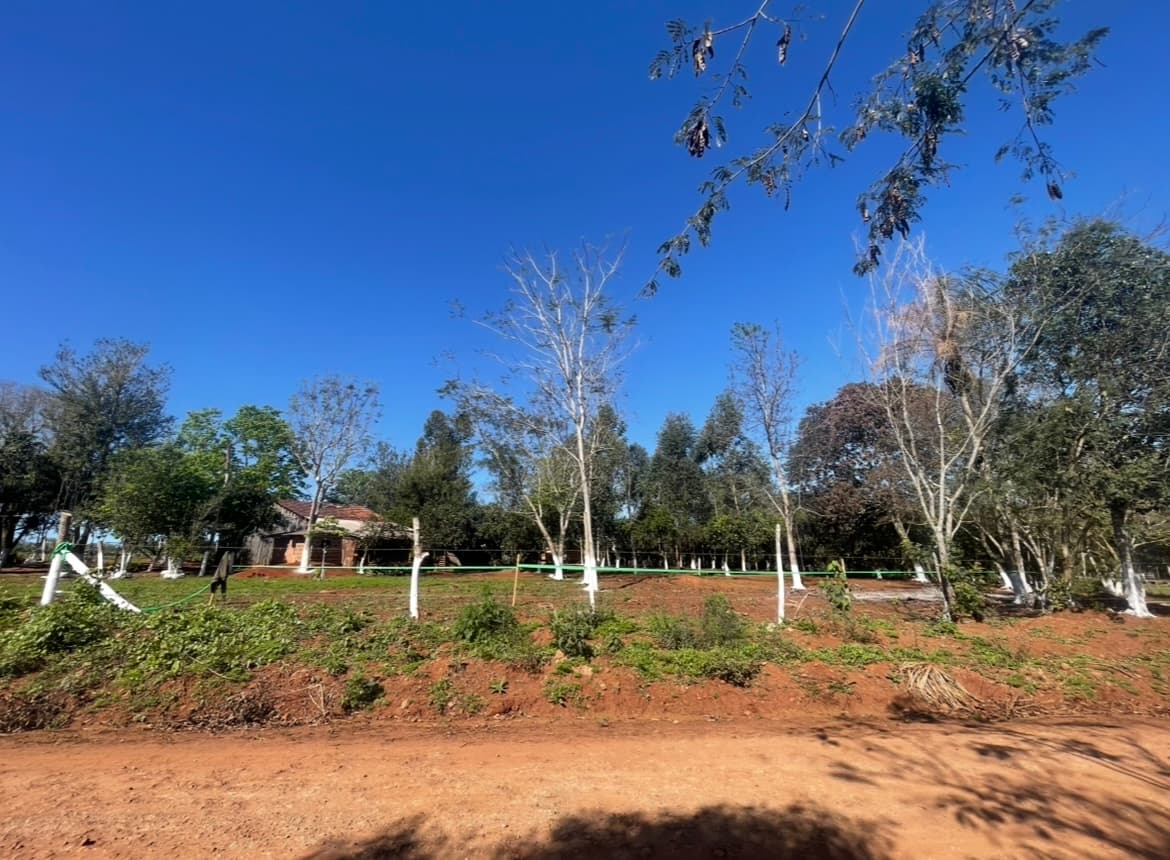 Ayala Company Camping y estacionamiento - WRC 2026 Paraguay Rally del Paraguay, foto 5